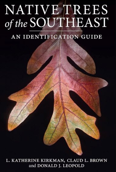 Native Trees of the Southeast: An Identification Guide | USAvora